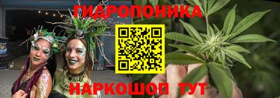 стаф Балахна