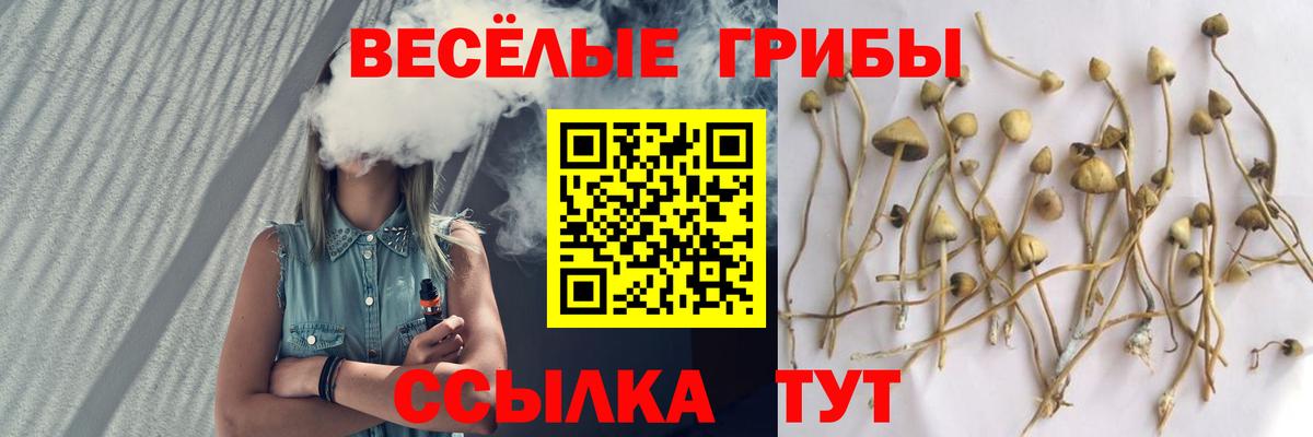 Псилоцибиновые грибы Cubensis Екатеринбург